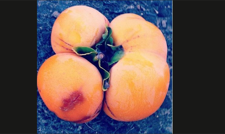 Japan, Tsunami, Jordbavning